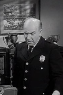 Get Well, Officer Schnauser