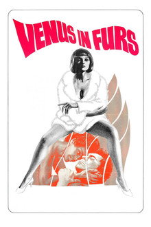Venus in Furs poster