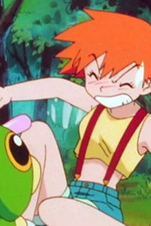 Ash Catches a Pokémon