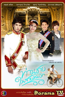 Prince in the Line of Fog poster