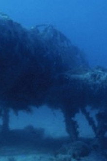 War Wrecks of the Coral Sea