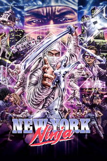 New York Ninja poster