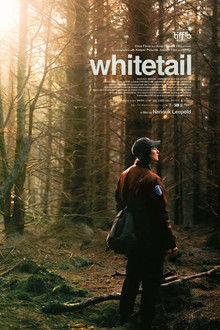 Whitetail poster