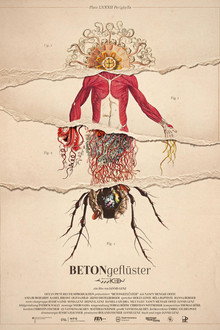 Concrete Whisper poster