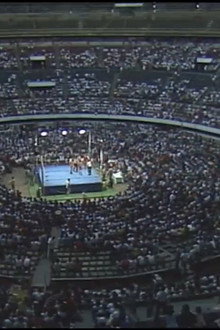 AJW Classics 006