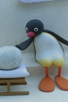 Pingu and the Mix Up