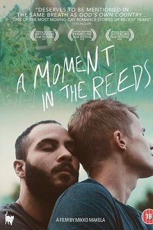 A Moment in the Reeds
