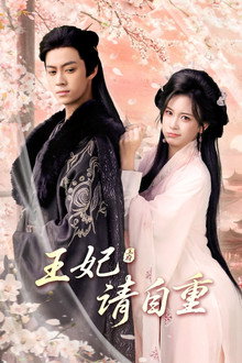 王妃请自重 poster