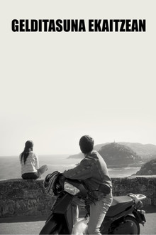 Stillness in the Storm poster