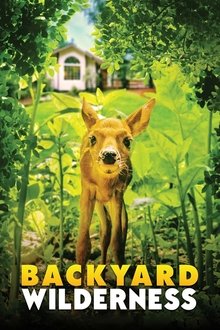 Backyard Wilderness poster