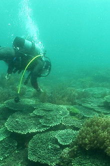 Nanyo, Ehime: Water for Life and Fun