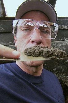 Dirty Jobs of the Big Apple