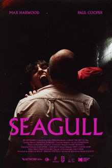 Seagull poster