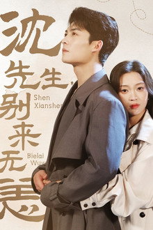 沈先生，别来无恙 poster