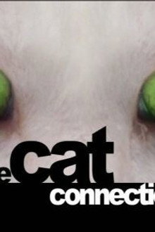 The Cat Connection