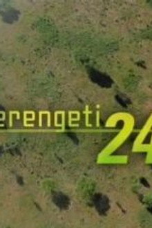 Serengeti 24