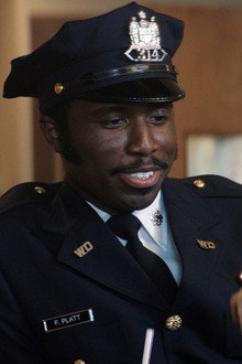 Did you know Seahorses are fish?