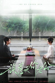 入骨宠婚：误惹天价老公 poster