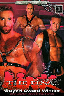 The Final Link poster