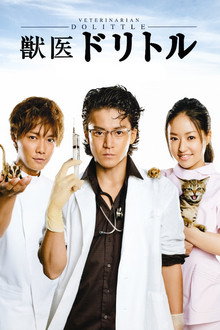 Veterinarian Dolittle poster