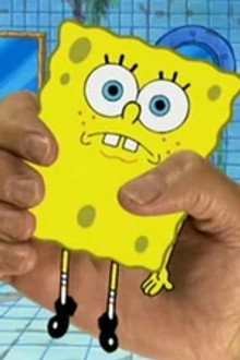 Model Sponge