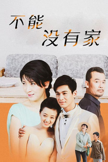 不能没有家 poster