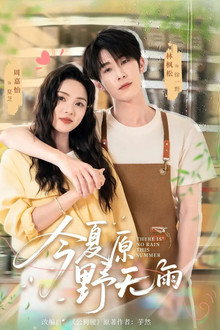 今夏原野无雨 poster