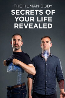 The Human Body: Secrets of Your Life Revealed poster