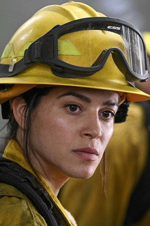 Not Without My Birds