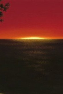 The Young Man and the Sea