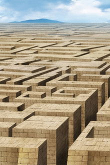 The Animals and the Girl