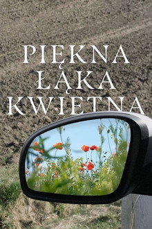 A Beautiful Wildflower Meadow poster