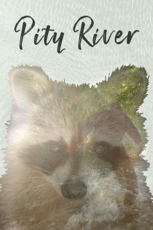 Pity River poster