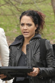 Golden Lancehead + Venom + Pole Vault + Blood + Baggage