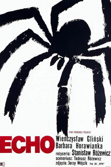 Echo poster