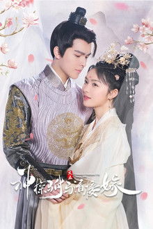 Detective Husband I've Never Met poster