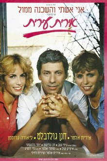 Mrs. vs. Miss poster