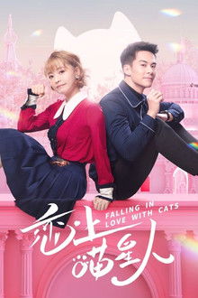 Falling in Love With Cats poster