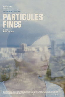 Particules fines poster