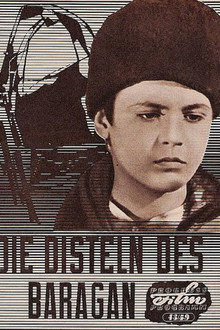 The Thistles of The Bărăgan poster