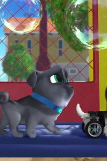 Bob and Ana's Bubble Bummer