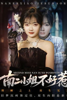 南二小姐不好惹 poster