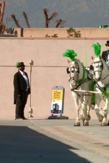 You Can Lead A Horse To A Locker, But You Can't Make Him Bid