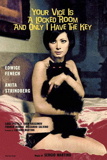 Your Vice Is a Locked Room and Only I Have the Key poster