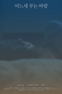 The Consolation of the Wind poster