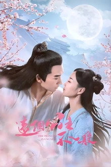 The Princess Is Extraordinary poster