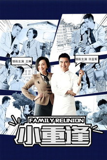 Family Reunion poster