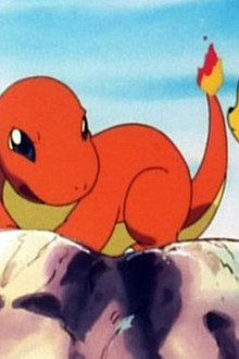 Charmander - The Stray Pokémon