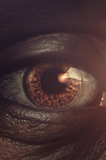 Human: Origins