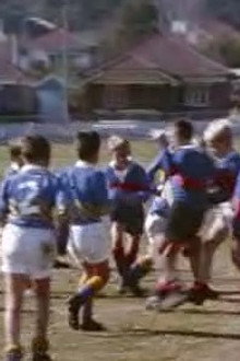 Up the Waratahs